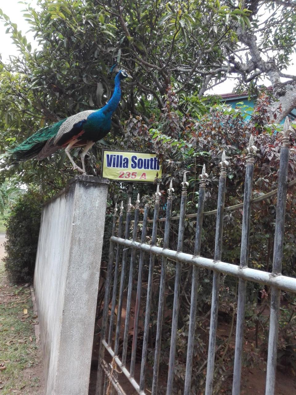 Weligama Villa South Εξωτερικό φωτογραφία